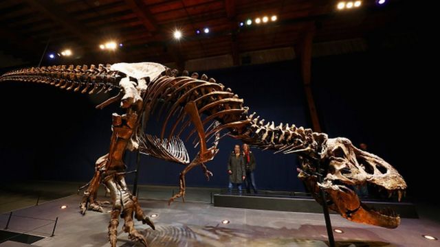 Tiranossauro Rex encontrado no Canadá em 1991 é o maior do mundo, Natureza