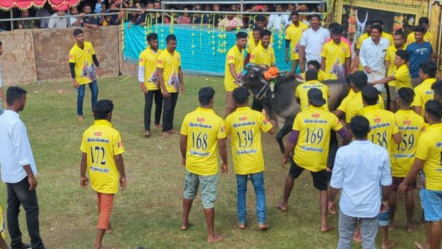 இலங்கையில் தமிழக வீரர்கள் உதவியுடன் பிரமாண்ட  ஜல்லிக்கட்டு: எப்படி நடக்கிறது?