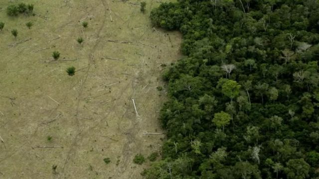 Imagem aérea sobre área da floresta amazônica