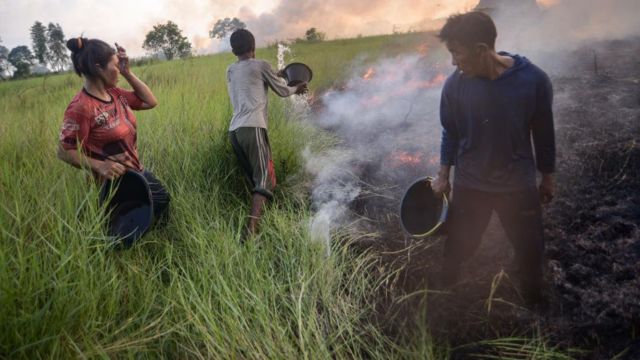 Warga berusaha memadamkan kebakaran lahan gambut menggunakan peralatan sederhana di Desa Arisan Jaya, Kabupaten Ogan Ilir, Sumatera Selatan, Juni 2022.