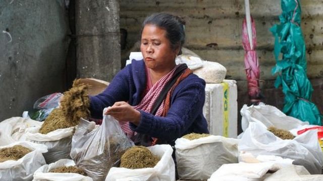 النساء يهيمن على النشاط التجاري في سوق شيلونغ