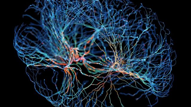 Visualização de conexões cerebrais