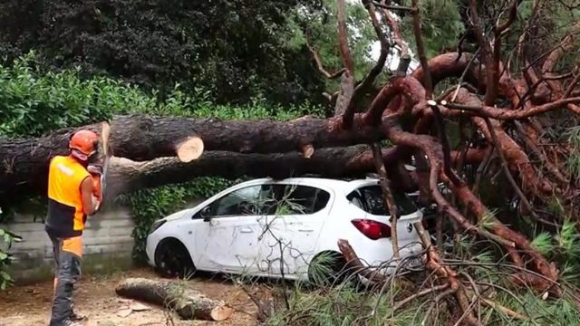 العواضف والرياح الشديدة أدت لاقتلاع الأشجار في شمال إيطاليا وتسببت في حدوث وفيات