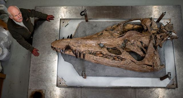 pilosaur
