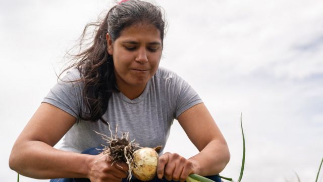 Mujer en el campo