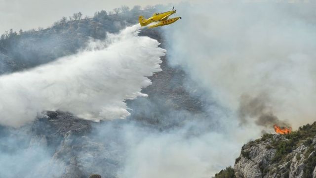 Katalonya'da orman yangınları