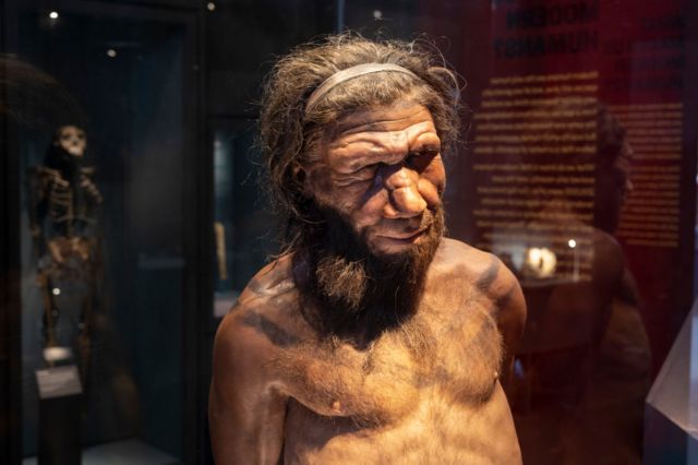 Representação de neanderthal