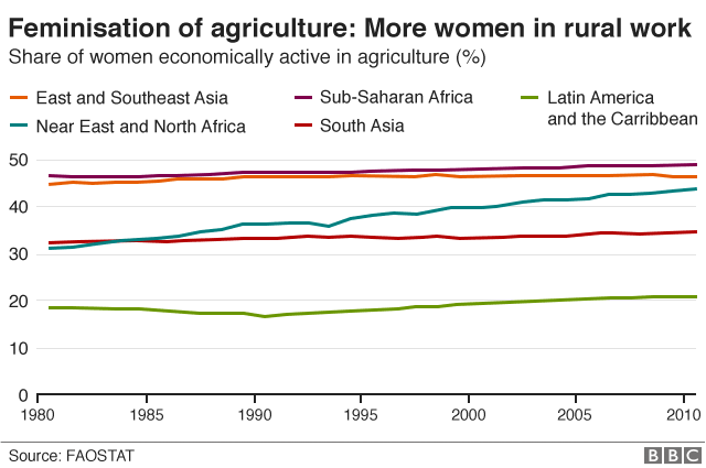 Feminisation of agriculture trends, graphic