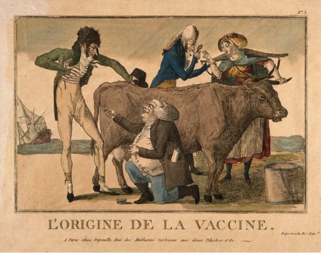 این ایده که واکسن آبله بر پایه آبله گاوی است قرن‌هاست که وجود دارد