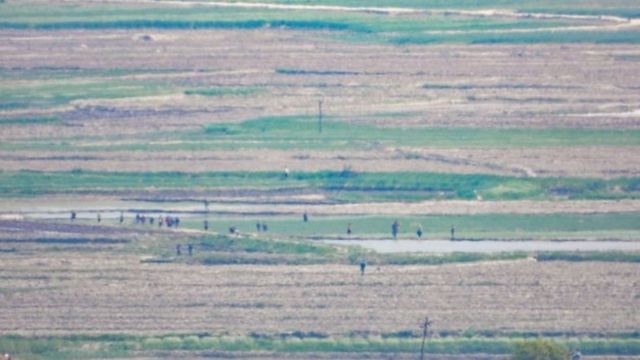 مزارعون في كوريا الشمالية