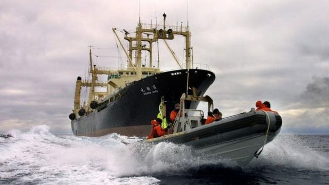 捕鯨母船の前を行くグリーンピースのボート（2001年12月）