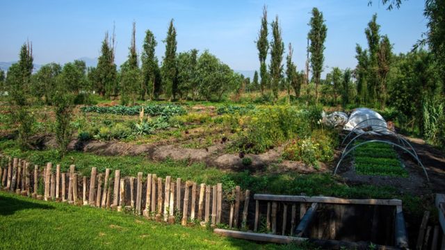 Xochimilco