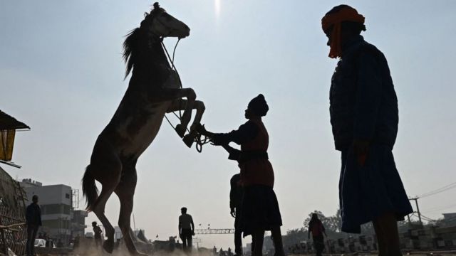 சிங்கு எல்லையிலிருந்து கலைந்து போகும் சீக்கியர்கள்.