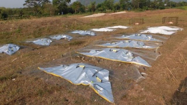 Body bags with pig carcases being tested in Thailand