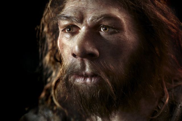 Neanderthal model. Reconstruction of a Neanderthal (Homo neanderthalensis)