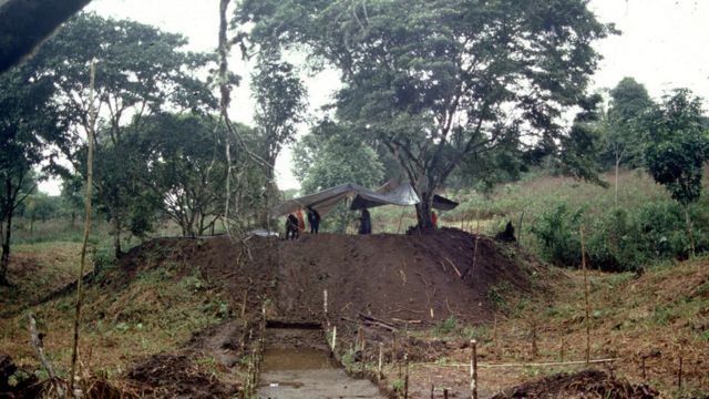 調査チームは、古代の住居の基礎と思われる、土を盛った「プラットフォーム」を6000カ所発見した