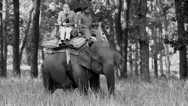 Philip sits atop an elephant while visiting the Kanha Game Reserve today during his ten day tour of India with the Queen
