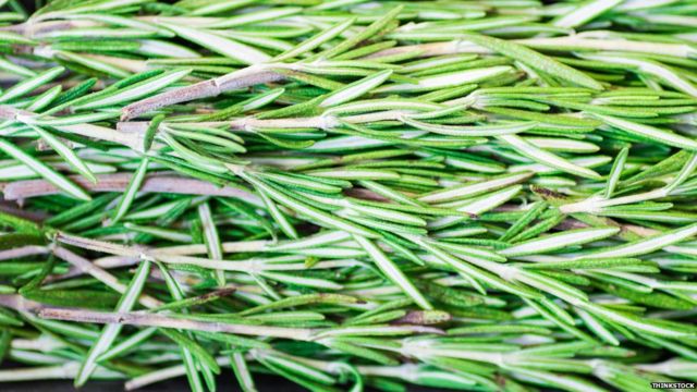 What does rosemary do to your brain? - BBC News