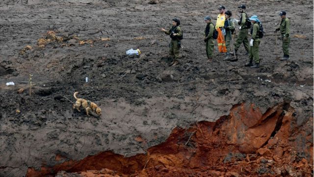 Oitavo dia de buscas em Brumadinho com 110 mortos e 238 desaparecidos