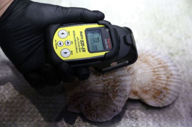 Medidor de radia&ccedil;&atilde;o perto de concha