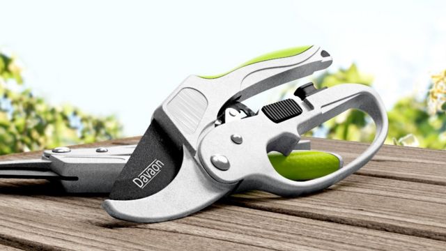 Davaon secateurs