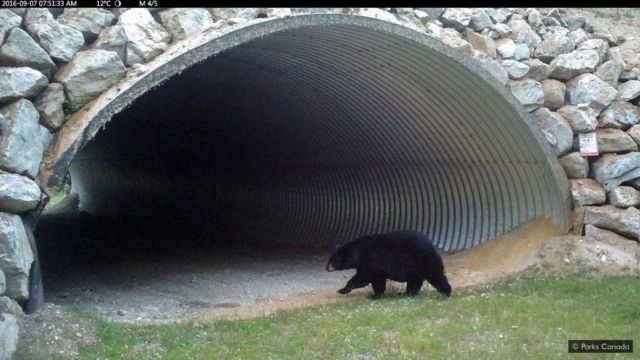 Parks Canada