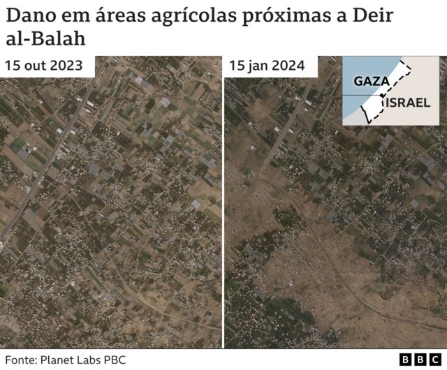 Imagens de satélite mostram antes e depois de áreas agrícolas devastadas em Gaza
