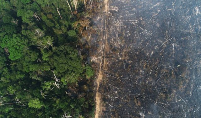 巴西亚马逊环境研究所早些时候发布的一份报告称，博尔索纳罗在2018年上台后亚马逊雨林的破坏率上升(photo:BBC)