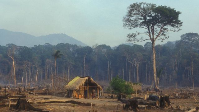 Una imagen que muestra la deforestación de la selva amazónica