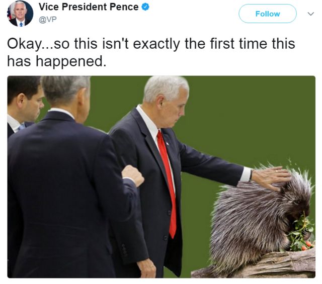 US Vice-President Mike Pence tweeted: "Okay... so this isn't exactly the first time this has happened." with a photoshopped photo of Mr Pence touching a porcupine