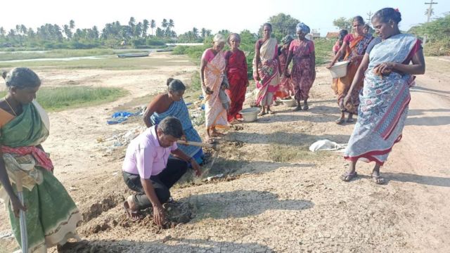 கடல் அரிப்பை தடுக்க உதவுமா பனை மரம்