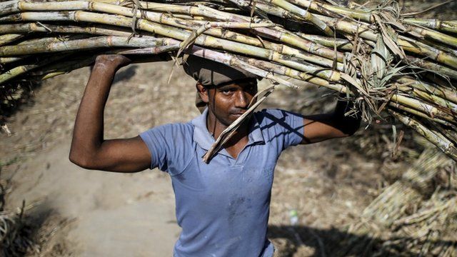 Rural workers in Uttar Pradesh