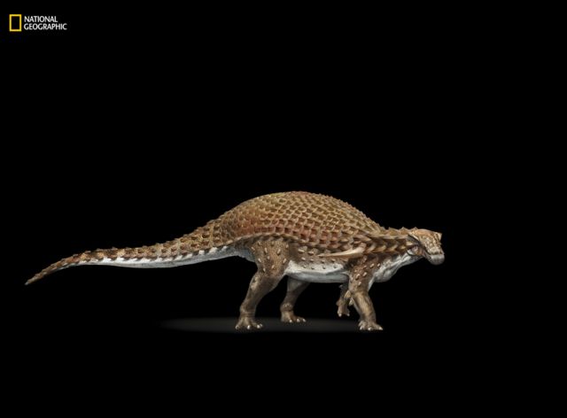 Ilustración del nodosaurus
