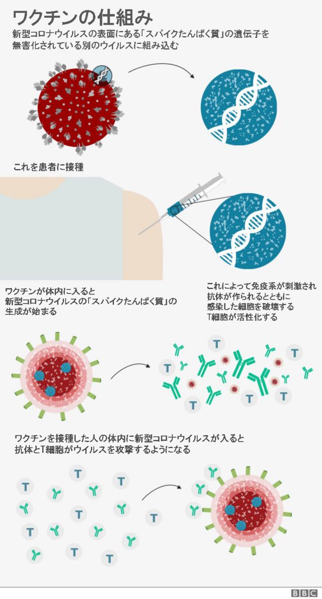 コロナ ワクチン 遺伝子