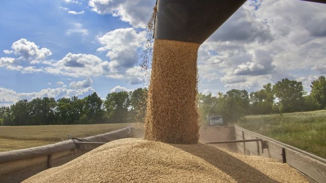 "Зерновая сделка" по экспорту украинского продовольствия продлена на ...
