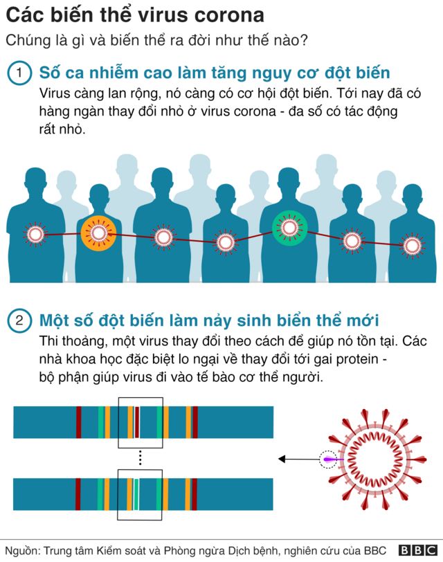 5 triệu chứng khi bị lây biến thể Omicron _121845603_coronavirus_variants_vietnamese_26.11