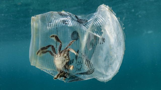 plastik atık