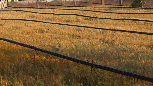 வெங்கட் ரெட்டி.