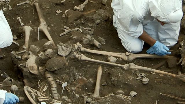 Arqueólogos examinando huesos