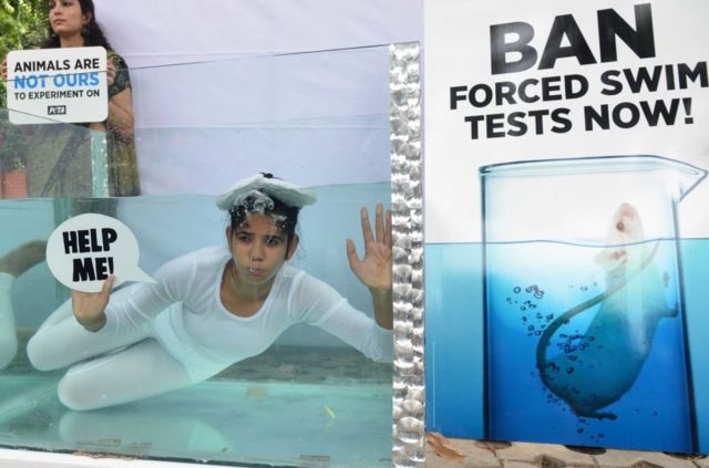 An activist for the animal protection organization PETA protests against the forced swimming test with rodents carried out by pharmaceutical companies