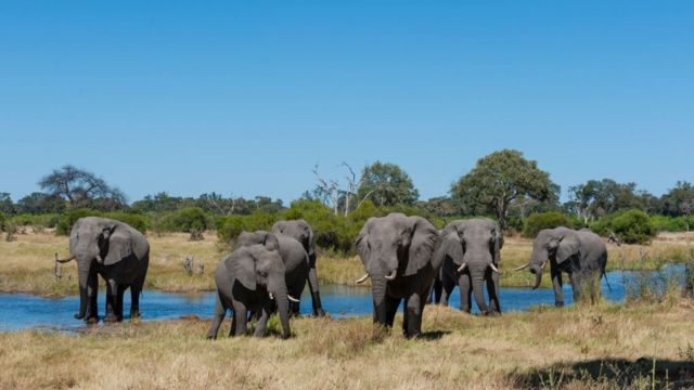 ነበርቲ ሓጢኣት'ዩ ዝበልዎ ፕሮጀክት ነዳዲ - BBC News ትግርኛ