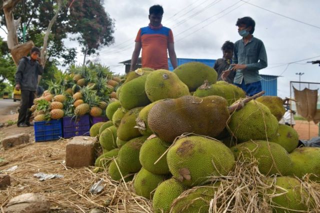 Yacas a la venta en India.