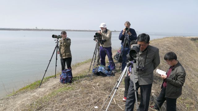 Observadores de ave en Mundok, Corea del Norte.