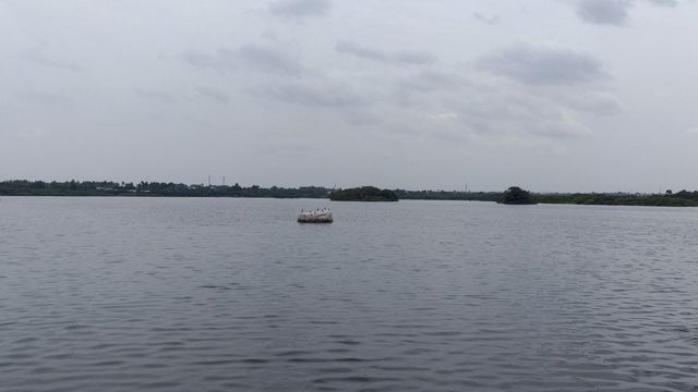 நஞ்சராயன் பறவைகள் சரணாலய நிலம் தனியாருக்கு கைமாற்றப்பட்டதா