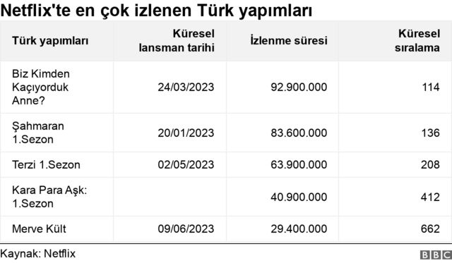 netflix türk yapımları 