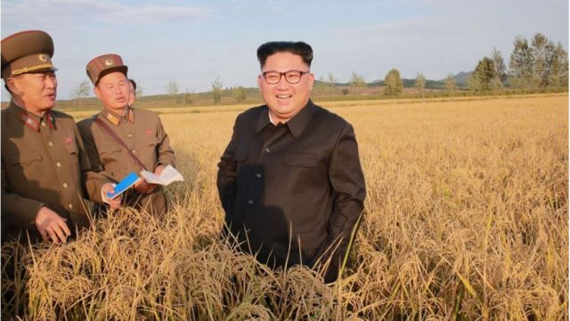 김정은 북한 국무위원장이 2017년 9월 30일 조선인민군 제810부대 산하 1116호 농장을 방문했다.