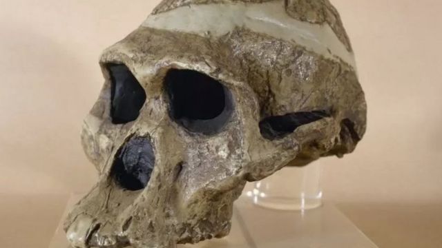 குகைவாழ் பெண்