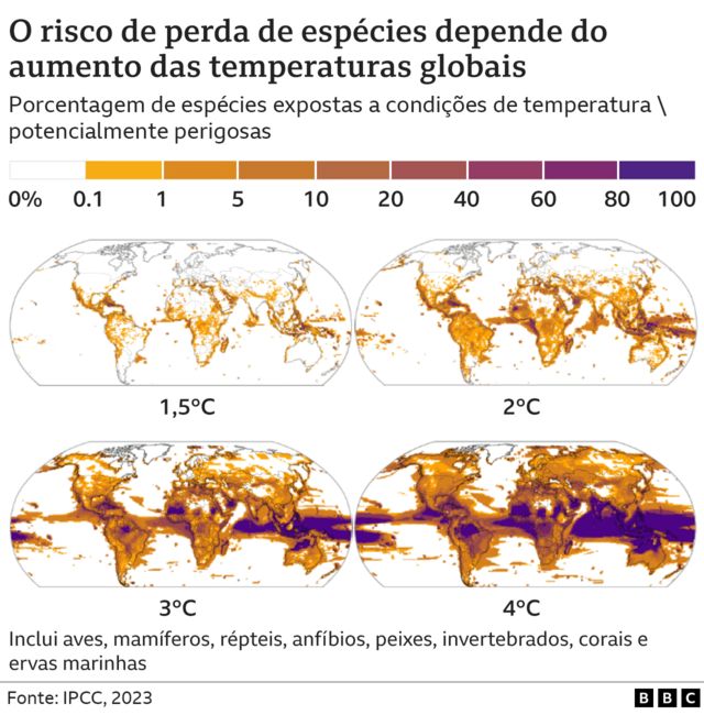 Infográfico mostrando uma perda muito maior de espécies em níveis mais elevados de aquecimento global