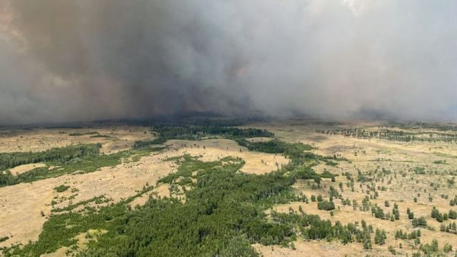 лесной пожар в Челябинской области