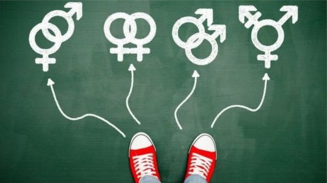 లైంగికత తెలుస్తుందా?